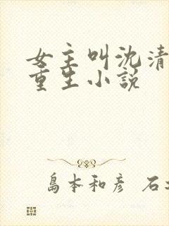 女主叫沈清婉的重生小说