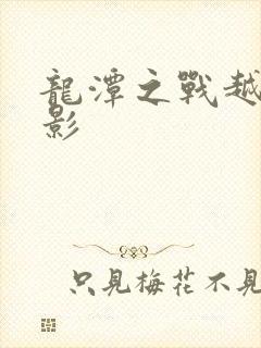 龙潭之战越战电影封面