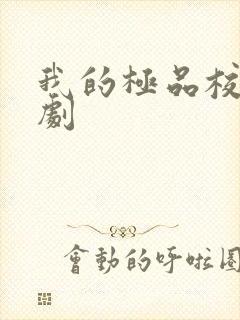 我的极品校花短剧