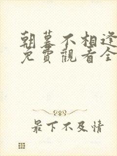 朝暮不相逢短剧免费观看全集