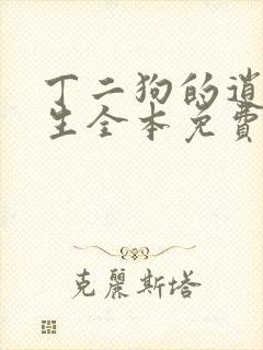 丁二狗的逍遥人生全本免费阅读主封面