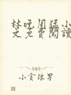 林晚周猛小说全文免费阅读