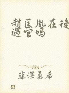 赵匡胤在后晋当过官吗封面