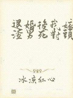 退婚后我嫁给了渣男死对头