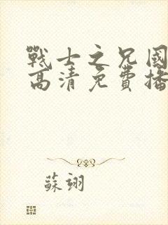 战士之兄国语版高清免费播放封面