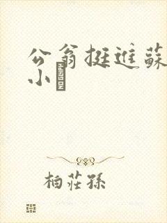 公翁挺进苏玥的小泬