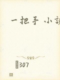 一把手 小说