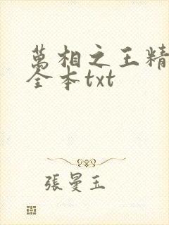 万相之王精校版全本txt