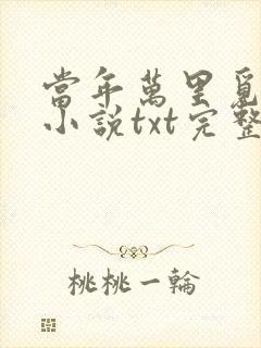 当年万里觅封侯小说txt完整番外