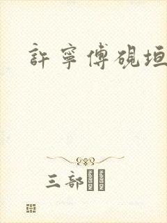 许宁傅砚垣结局