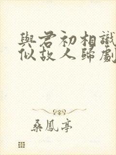 与君初相识·恰似故人归剧情