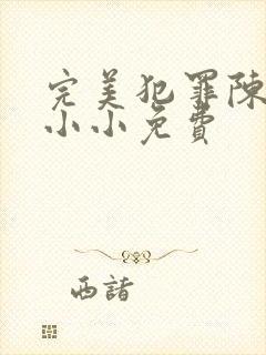 完美犯罪陈树苏小小免费