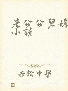 老公公儿媳妇的小说