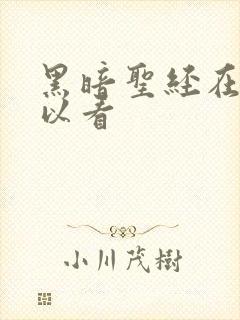 黑暗圣经在哪可以看封面