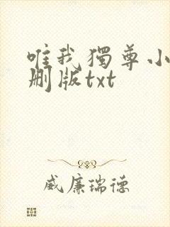 唯我独尊小说未删版txt