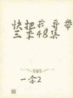 快把我哥带走第三季48集