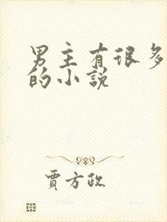 男主有很多老婆的小说