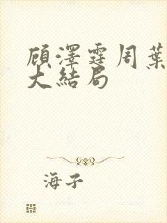 顾泽霆周叶番外大结局