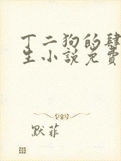 丁二狗的肆意人生小说免费听封面