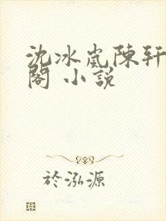 沈冰岚陈轩笔趣阁 小说