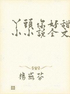 丫头你好甜慕小小小说全文免费阅读