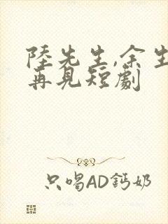 陆先生,余生不再见短剧