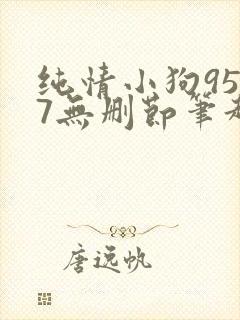 纯情小狗9527无删节笔趣阁