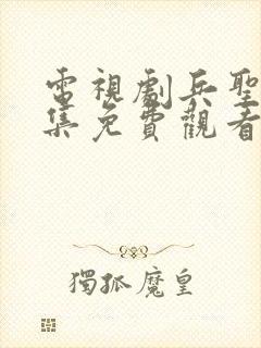 电视剧兵圣42集免费观看