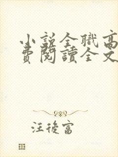 小说全职高手免费阅读全文