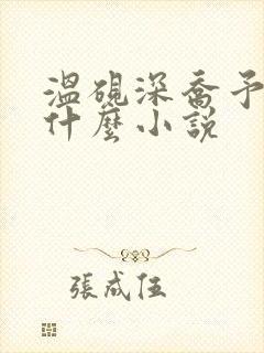 温砚深乔予安是什么小说封面