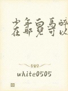 少年白马醉春风在哪儿可以看