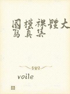 国模裸体大尺度写真集