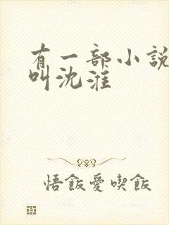 有一部小说主角叫沈淮