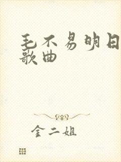 毛不易明日之子歌曲