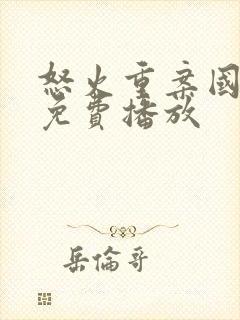 怒火重案国语版免费播放封面