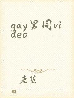 gay男同video