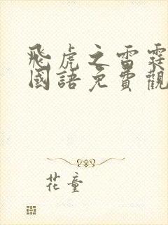 飞虎之雷霆极战国语免费观看