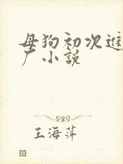 母狗初次进调教厂小说
