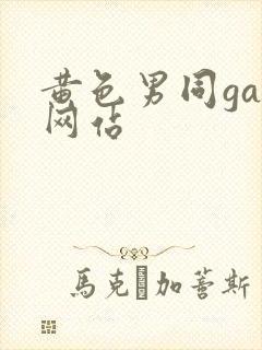 黄色男同gay网站封面