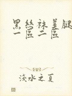 黑丝袜美腿诱惑一区二区