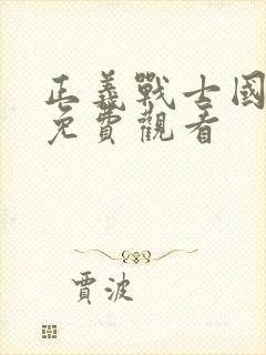 正义战士国语版免费观看