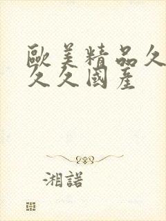 欧美精品久久久久久国产