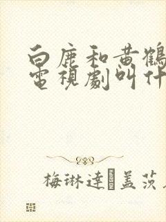 白鹿和黄鹤棣的电视剧叫什么