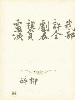 电视剧许我耀眼演员表全部