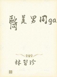 欧美男同gay网封面