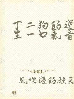 丁二狗的逆袭人生一口气看完