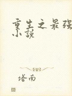 重生之最强弃少小说封面