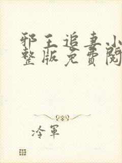 邪王追妻小说完整版免费阅读