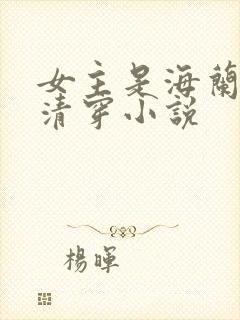 女主是海兰珠的清穿小说