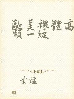 欧美裸体高清视频一级